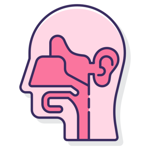head head