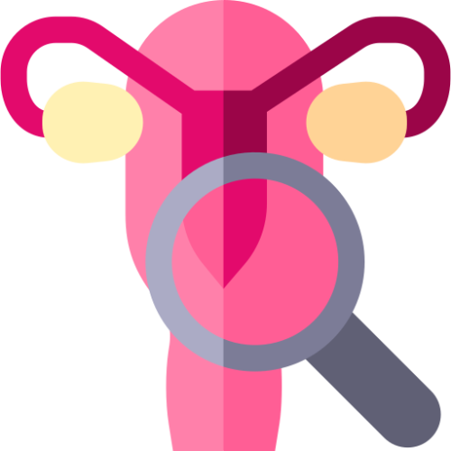 urology urology